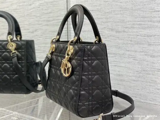 Tony Luxuries diro Lady large Calfskin-24cm Glod 0522